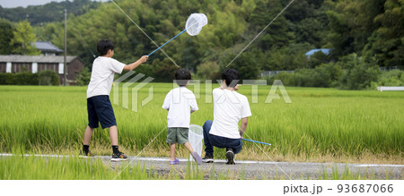 夏休み　帰省先の田舎で昆虫採取する親子　田んぼのあぜ道で撮影　トンボ採り 93687066