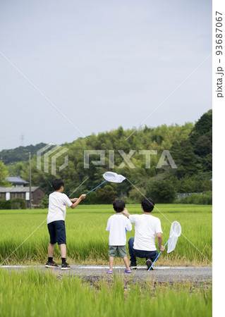 夏休み　帰省先の田舎で昆虫採取する親子　田んぼのあぜ道で撮影　トンボ採り 93687067