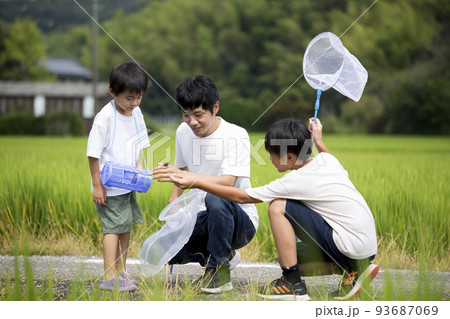 夏休み 帰省先の田舎で昆虫採取する親子 田んぼのあぜ道で撮影 トンボ採り 夏休み 帰省先の田舎で昆虫採取する親子 田んぼのあぜ道で撮影 トンボ採り 93687069