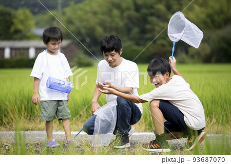夏休み　帰省先の田舎で昆虫採取する親子　田んぼのあぜ道で撮影　トンボ採り 93687070
