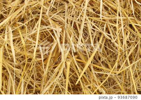 Dry straw texture for background and design art work, bales of cereal straw for cow and horse. 93687090
