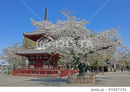 川越大師喜多院（川越） 93687292