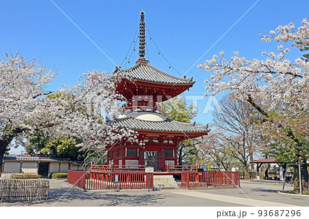川越大師喜多院（川越） 93687296