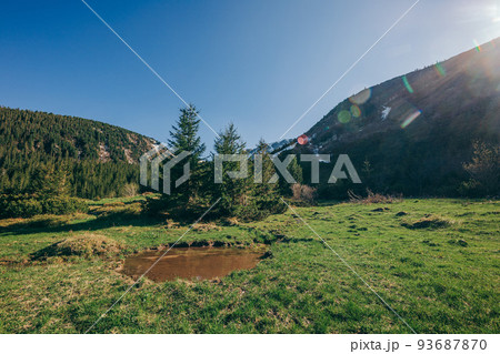 A train on a lush green field 93687870