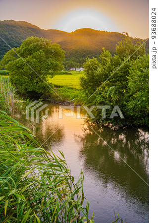 滋賀県 近江八幡市 西の湖 夕暮れ時 滋賀県 近江八幡市 西の湖 夕暮れ時 93688024