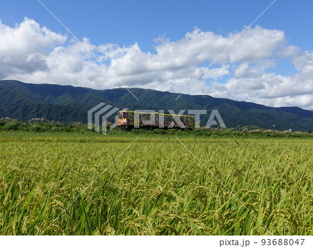 フラワー長井線　秋　稲穂 93688047