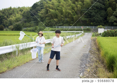 夏休みに古里の里山で昆虫採取する姉弟 夏休みに古里の里山で昆虫採取する姉弟 93688078