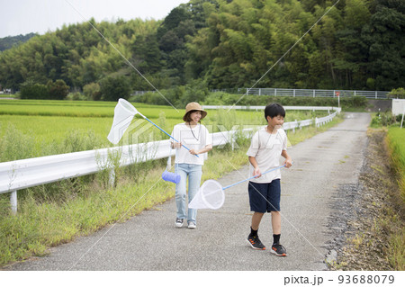 夏休みに古里の里山で昆虫採取する姉弟　 93688079