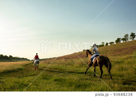 Young woman rider with her horse in evening sunset light. Outdoor photography in lifestyle mood Young woman rider with her horse in evening sunset light. Outdoor photography in lifestyle mood 93688238