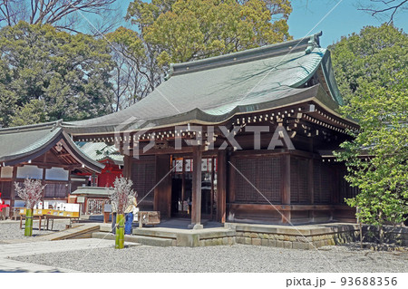 川越氷川神社（川越） 93688356