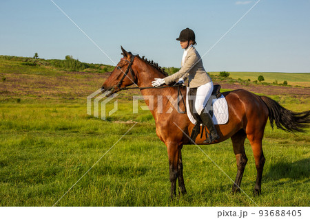 Young woman riding a horse on the green field 93688405