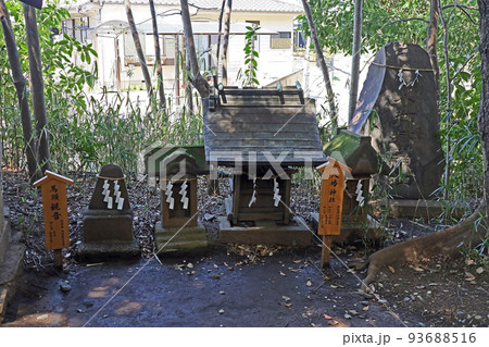 川越氷川神社(川越) 川越氷川神社(川越) 93688516