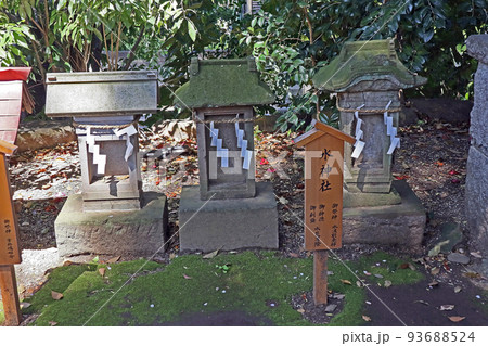 川越氷川神社（川越） 93688524