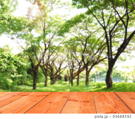 wooden board over blurred trees and grass 93688592