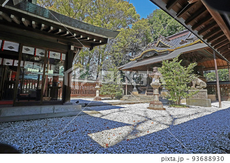 川越氷川神社（川越） 93688930