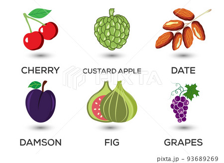 Set of fruits. Different colorful fruits. Fresh food, healthy eating concept. Vector illustration Set of fruits. Different colorful fruits. Fresh food, healthy eating concept. Vector illustration 93689269