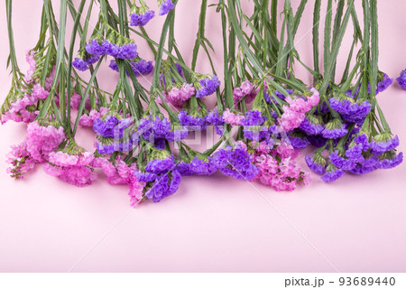 ピンクの紙の上の並んだ二色のハナハマサジの花 93689440