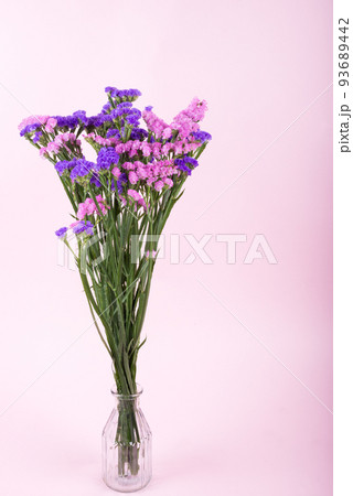 ピンクの背景の花瓶に入れた二色のハナハマサジの花 93689442