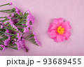 ピンクの紙の上の赤紫のハナハマサジの花とサザンカの花 93689455