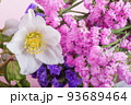 白いレンテンローズと二色のハナハマサジの花 93689464