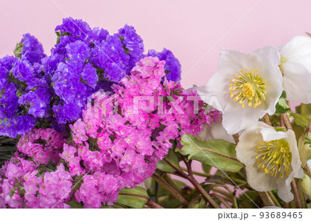 ピンクの背景の白いレンテンローズと二色のハナハマサジの花 93689465