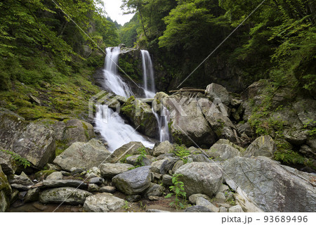 木梶三滝の不動滝（三重県大台町） 93689496