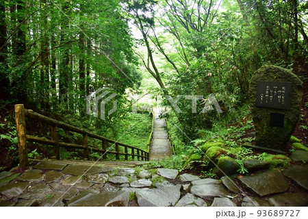 三島市 史跡山中城跡(山中城跡公園)の北条橋経由駐車場方面遊歩道と箱根旧街道石畳 三島市 史跡山中城跡(山中城跡公園)の北条橋経由駐車場方面遊歩道と箱根旧街道石畳 93689727
