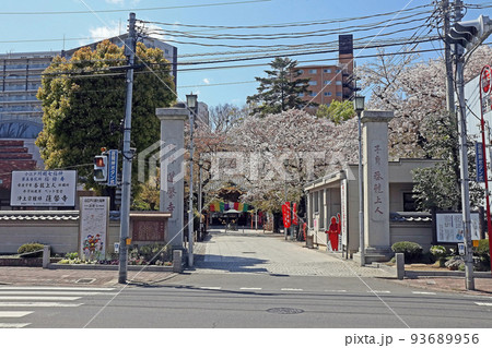 蓮馨寺(川越) 蓮馨寺(川越) 93689956