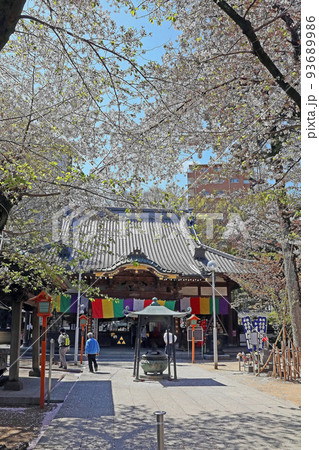 蓮馨寺(川越) 蓮馨寺(川越) 93689986