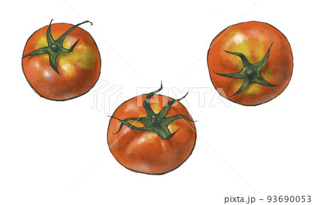 夏野菜 トマト 透明背景 のイラスト素材