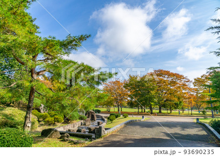 七木田公園 紅葉 秋 青空 七木田公園 紅葉 秋 青空 93690235