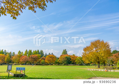七木田公園 紅葉 秋 青空 七木田公園 紅葉 秋 青空 93690236