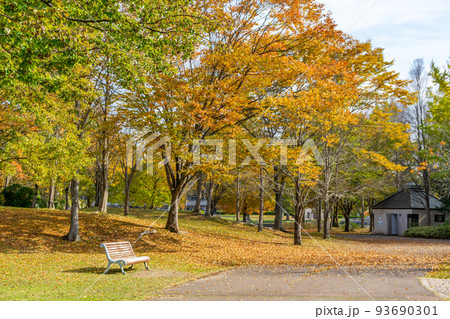 七木田公園　紅葉　秋 93690301