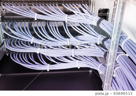 bunch of patch network cables sorted in rack cabinet, leading from patch panel in the server rack in the data center room 93690515