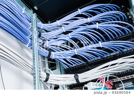 bunch of patch network cables sorted in rack cabinet, leading from patch panel in the server rack in the data center room 93690564