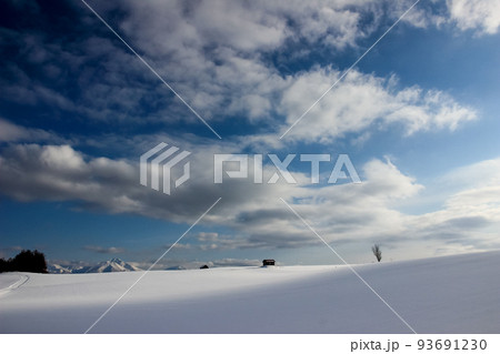 日が当たる雪原 日が当たる雪原 93691230