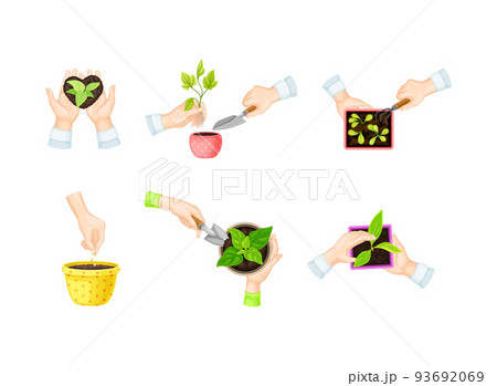 Hand Planting and Cultivating Young Sapling or Seedling Growing in Soil Vector Set 93692069