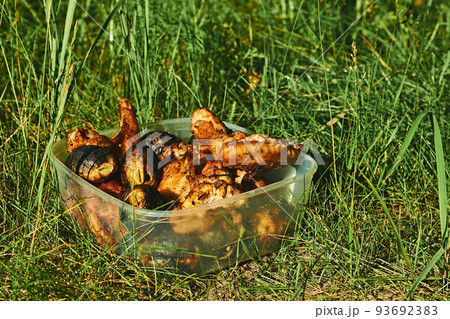 Plastic container with freshly fried meat, chicken and potatoes Plastic container with freshly fried meat, chicken and potatoes 93692383