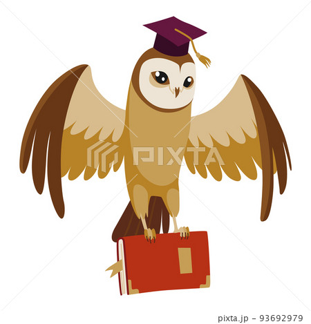 Owl wearing graduation cap. Cute wise owl with hat. Symbol of wisdom or graduation from higher or secondary educational institution 93692979