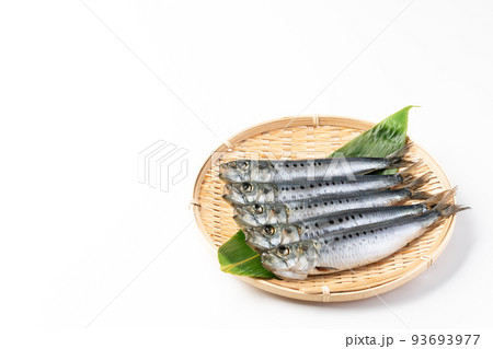 いわし丸干し いわし丸干し 93693977