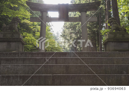 210830日枝神社z059 93694063
