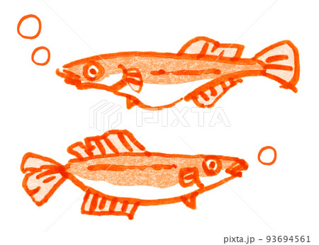 筆書きのメダカのつがい 93694561