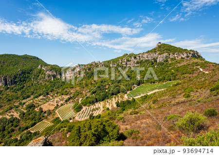 Cultivation of a vineyard in the mountains. Agriculture. 93694714