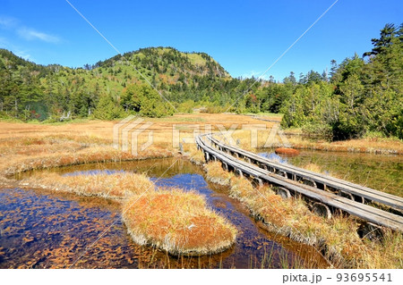 志賀高原・四十八池の紅葉 93695541