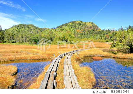 志賀高原・四十八池の紅葉 93695542