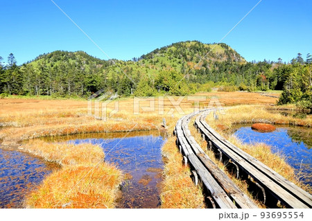 志賀高原・四十八池の紅葉 93695554