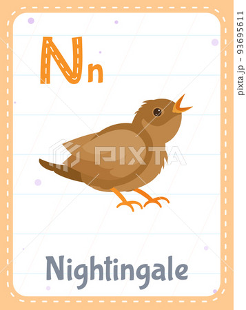 Alphabet printable flashcard with letter N and nightingale bird Alphabet printable flashcard with letter N and nightingale bird 93695611