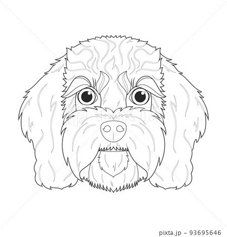 Cavoodle dog easy coloring cartoon vector...のイラスト素材 [93695646] - PIXTA