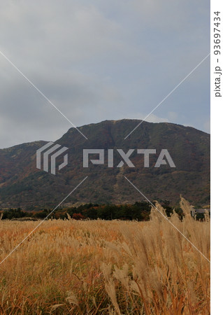 秋のタデ原湿原の草紅葉と紅葉 ( 2021年11月 大分県 九重町 ) 秋のタデ原湿原の草紅葉と紅葉 ( 2021年11月 大分県 九重町 ) 93697434