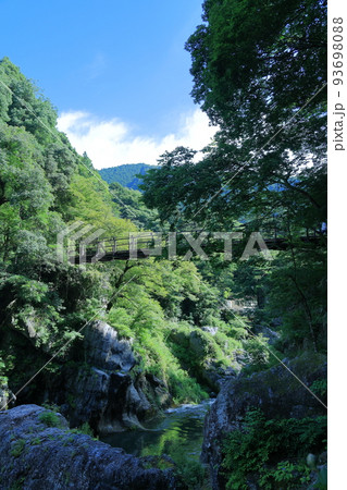 渓谷の風景 渓谷の風景 93698088